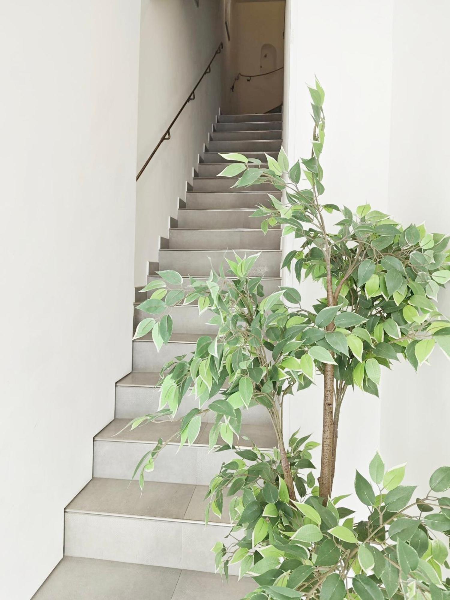 Cassis Loc - Chambre Meublee Exteriör bild